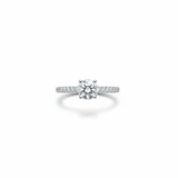 Pavé Solitaire Ring - White Background